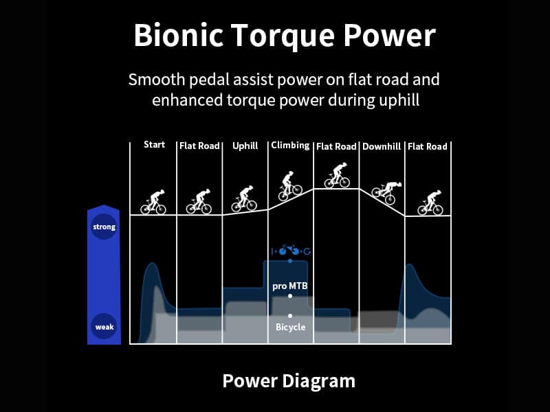 Bionic Torque Power